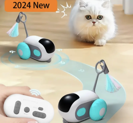 Festive Donut-Shaped Pet Recovery Collars