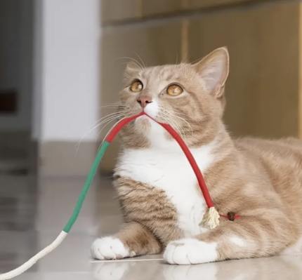 Petco ToughTwist Cat Chew Rope